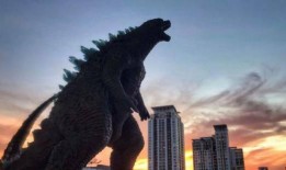 荒野新皮肤爆料视频在线观看,视觉盛宴，探索未知荒野之美